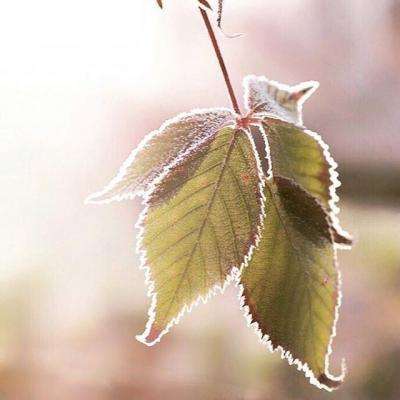 安庆房产信息网